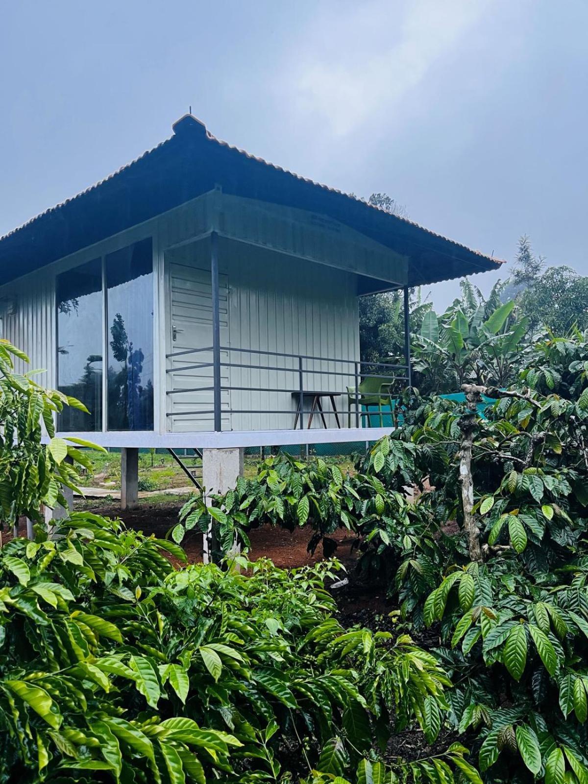 Vigo Homes Sakleshpur Extérieur photo