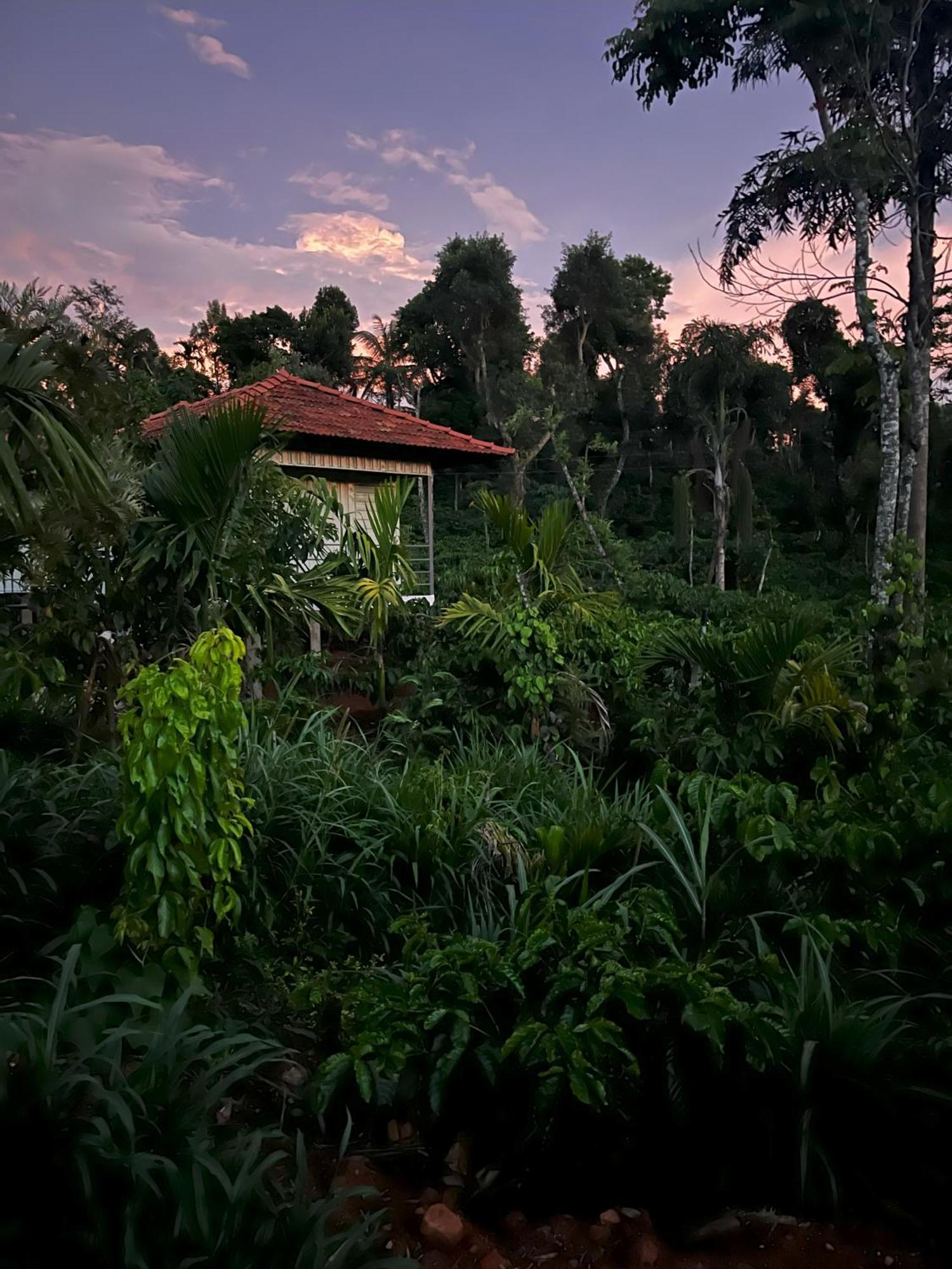 Vigo Homes Sakleshpur Extérieur photo